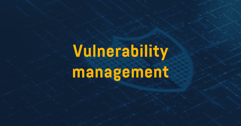 Vulnerability management – more important than ever before