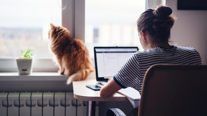 Security Risks Working from Home