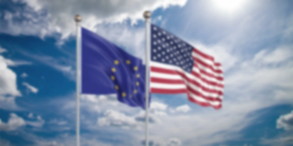 The New Era of Transferring Data with Max Schrems
